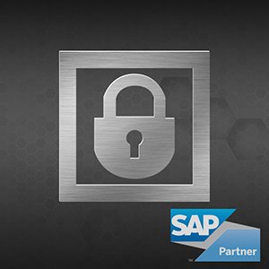 Tagessemniar SAP Security 2017