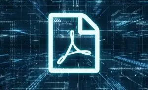 PDF Geschichte