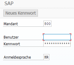Übersetzungen für SAP-Begriffe