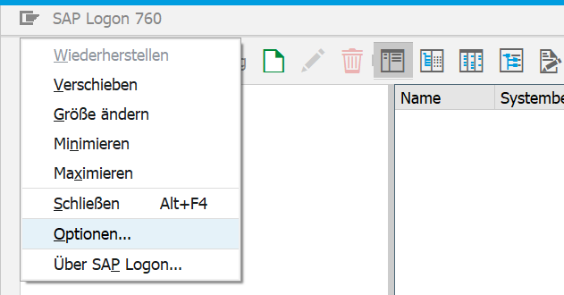 Optionen in der SAP GUI