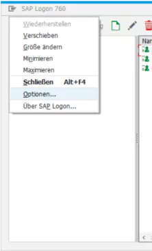 Optionen im SAP Logon