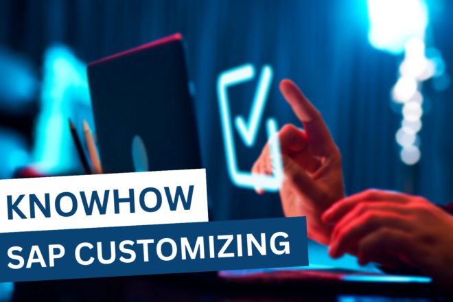 SAP Customizing