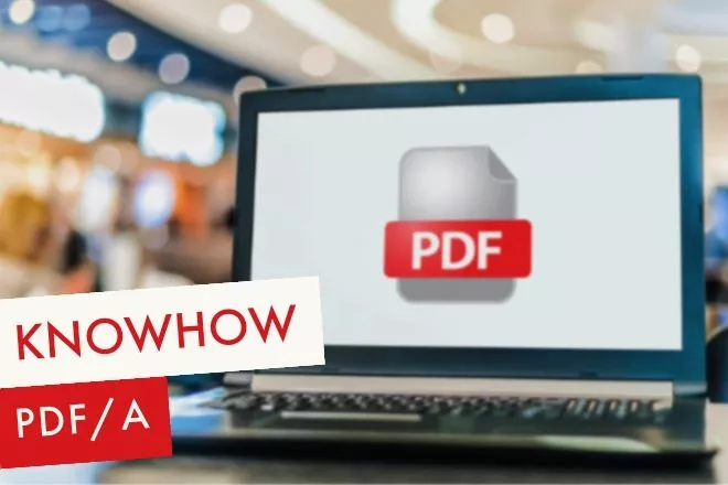 PDF/A