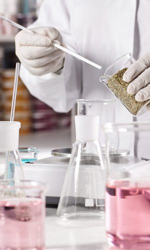 Biotechnology and pharmacology concept. Laboratory young clever worker standing near table surrounded with glass beakers filled with colorful liquid working at discovering new kind of vegetation.